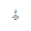 Lot de 2 Ampoules, projecteur longue portée BOSCH 1 987 301 181 - Visuel 3