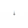 Ampoule, projecteur longue portée BOSCH 1 987 302 015 - Visuel 1