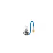 Ampoule, projecteur antibrouillard BOSCH 1 987 302 031 - Visuel 3
