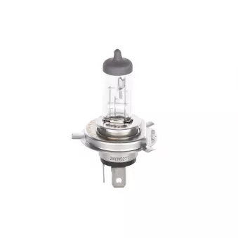 Ampoule, projecteur longue portée BOSCH 1 987 302 041
