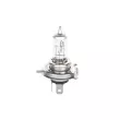 Ampoule, projecteur longue portée BOSCH 1 987 302 042 - Visuel 1
