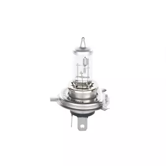 Ampoule, projecteur longue portée BOSCH 1 987 302 042