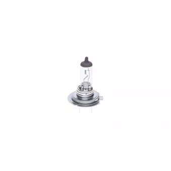 Ampoule, projecteur longue portée BOSCH