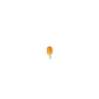 Ampoule, feu clignotant BOSCH 1 987 302 241 - Visuel 2