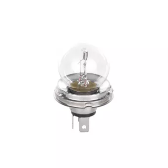 Ampoule BOSCH 1 987 302 421