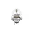 Ampoule BOSCH 1 987 302 421 - Visuel 2