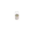 Ampoule BOSCH 1 987 302 510 - Visuel 3