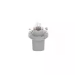 Ampoule BOSCH 1 987 302 514 - Visuel 1
