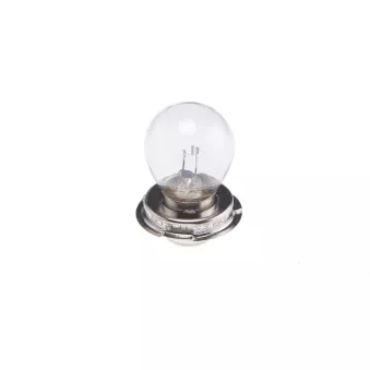 Ampoule BOSCH 1 987 302 606