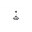 Ampoule BOSCH 1 987 302 772 - Visuel 1
