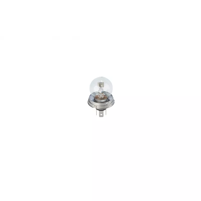 Ampoule, projecteur longue portée BOSCH 1 987 302 826 - Visuel 1