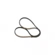 Courroie de distribution BOSCH 1 987 946 805 - Visuel 3