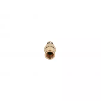 Gicleur, injection BOSCH 2 417 413 077