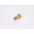 Boulon BOSCH F 002 D13 579 - Visuel 1