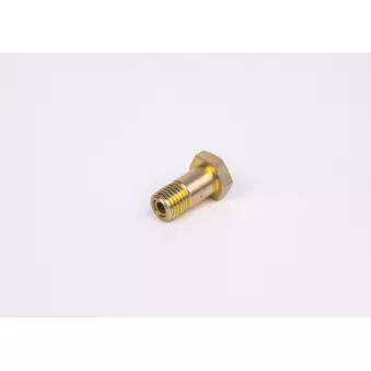 Boulon BOSCH F 002 D13 579