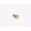 Boulon BOSCH F 002 D13 579 - Visuel 2