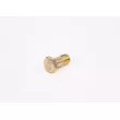 Boulon BOSCH F 002 D13 579 - Visuel 3