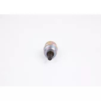 Électroaimant de levage BOSCH F 002 D13 642