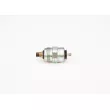 Électroaimant de levage BOSCH F 002 D20 501 - Visuel 2