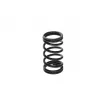 Ressort BOSCH F 00N 200 141 - Visuel 2