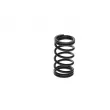 Ressort BOSCH F 00N 200 141 - Visuel 3