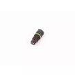 Gicleur, injection BOSCH F 00N 202 450 - Visuel 1
