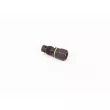 Gicleur, injection BOSCH F 00N 202 450 - Visuel 2