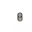 Ressort BOSCH F 00R 0P1 447 - Visuel 3