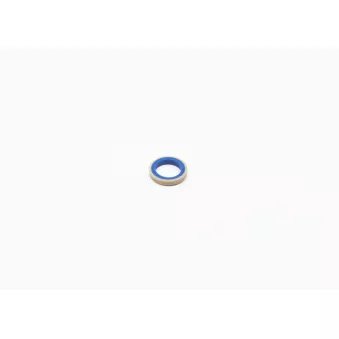 Joint, enjoliveur du projecteur principal BOSCH