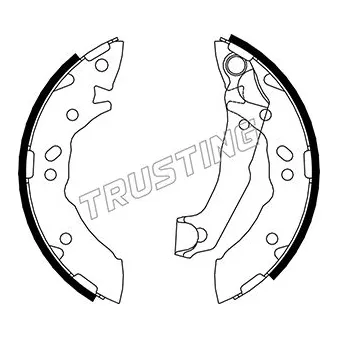 Jeu de mâchoires de frein TRUSTING 046.203