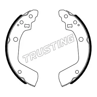 Jeu de mâchoires de frein TRUSTING 111.254