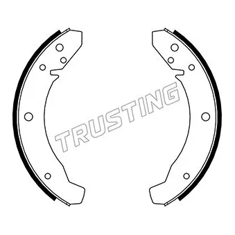 Jeu de mâchoires de frein TRUSTING 124.250