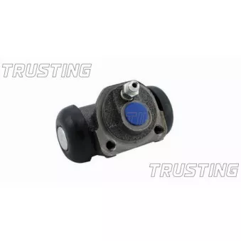 Cylindre de roue TRUSTING CF010