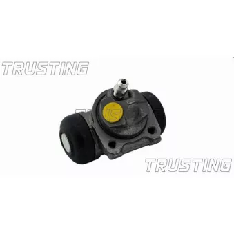 Cylindre de roue TRUSTING CF081