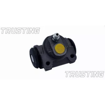 Cylindre de roue TRUSTING CF100