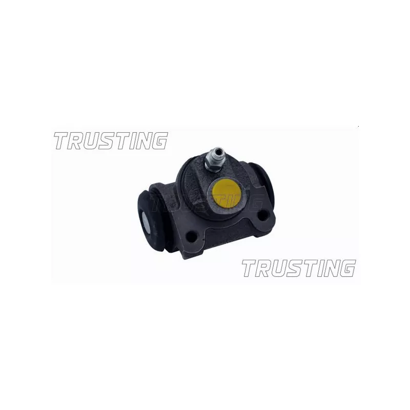 Cylindre de roue TRUSTING CF100