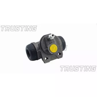 Cylindre de roue TRUSTING CF102