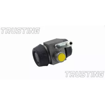 Cylindre de roue TRUSTING CF163