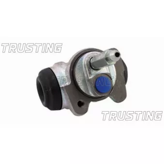 Cylindre de roue TRUSTING CF169