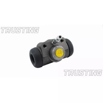 Cylindre de roue TRUSTING CF173