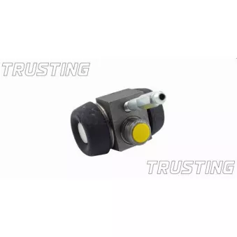 Cylindre de roue TRUSTING CF209