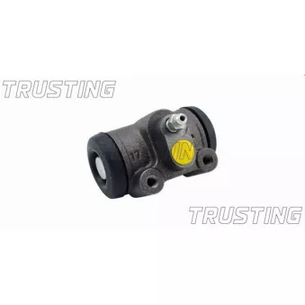 Cylindre de roue TRUSTING CF210
