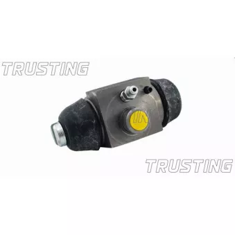 Cylindre de roue TRUSTING CF220