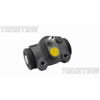 Cylindre de roue TRUSTING CF251