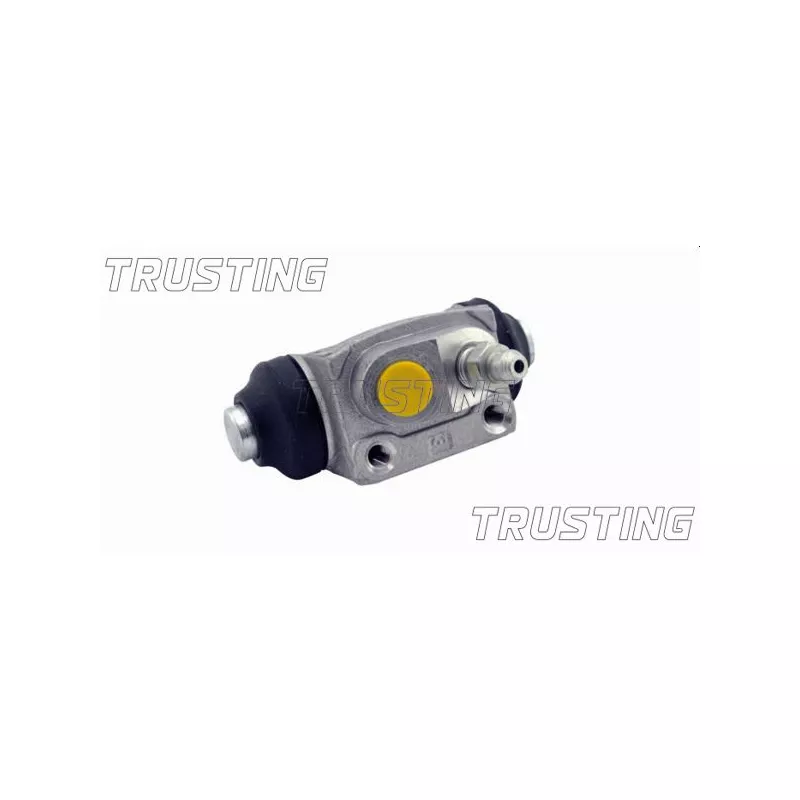 Cylindre de roue TRUSTING CF253