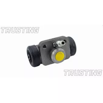 Cylindre de roue TRUSTING CF267