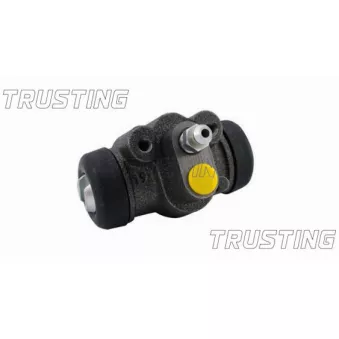 Cylindre de roue TRUSTING CF303
