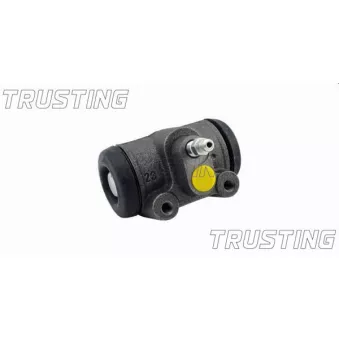 Cylindre de roue TRUSTING CF306