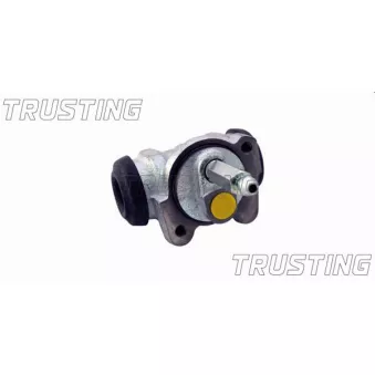Cylindre de roue TRUSTING CF310