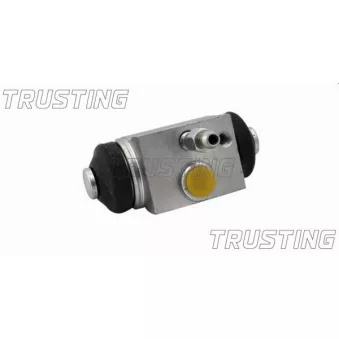 Cylindre de roue TRUSTING CF317